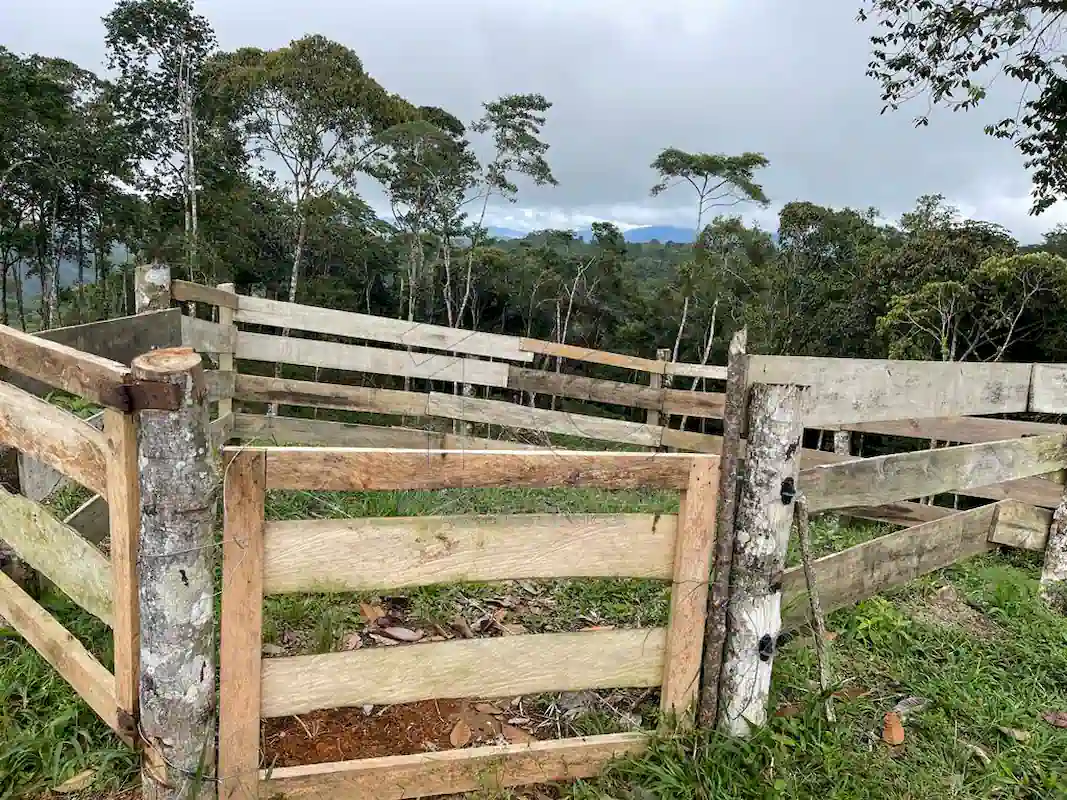 Finca Alto Gaviota